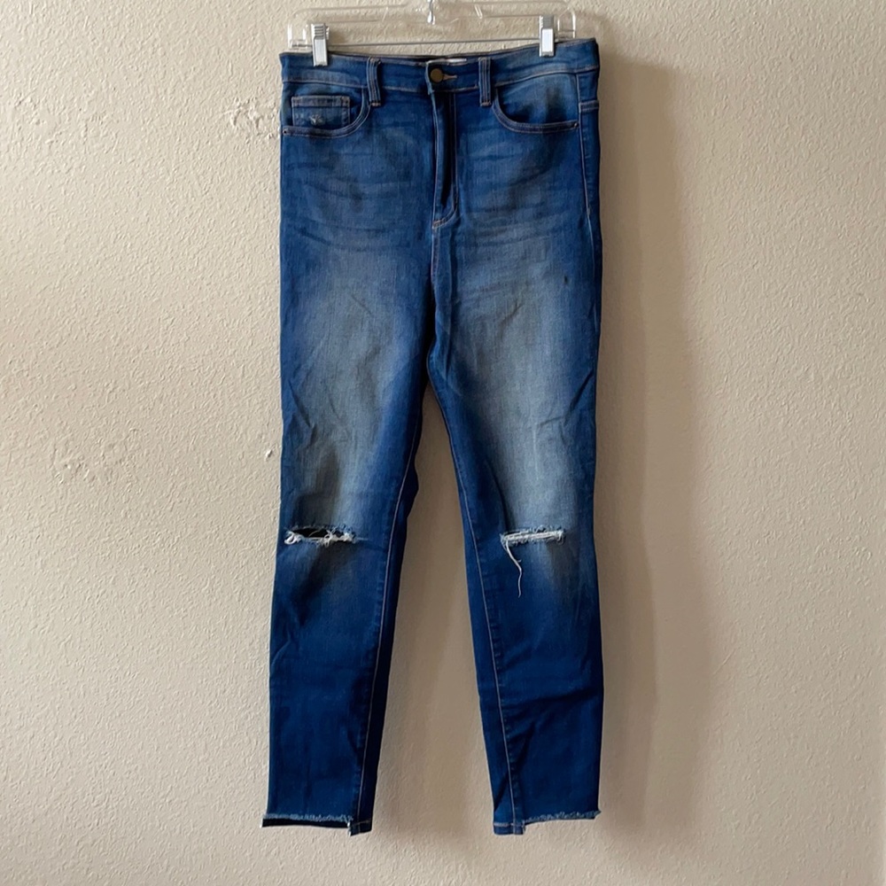 Carly Jean Los Angeles high waisted CJLA jeans 13